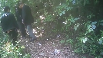 Gay Park Encounter Turns Into Steamy Outdoor Action