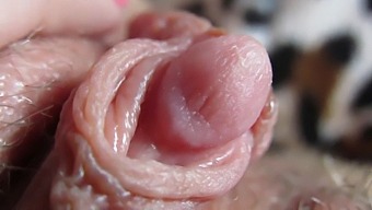 Intense Close-Up Of My Large And Throbbing Clitoris